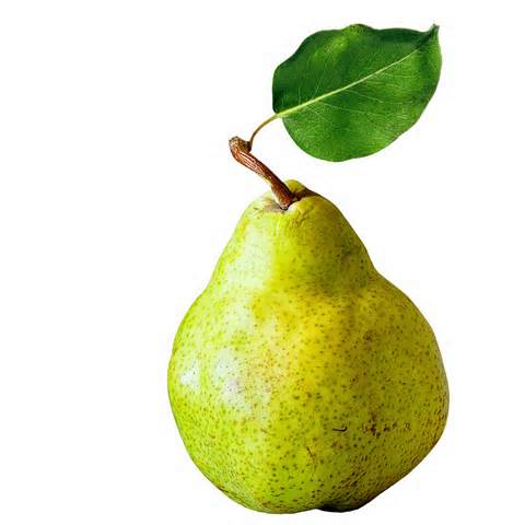 peer تعريف