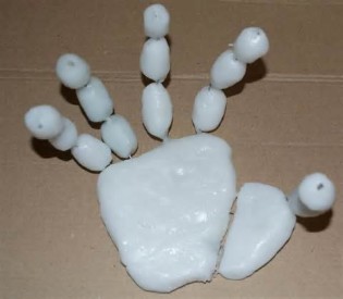 polymorph 定義