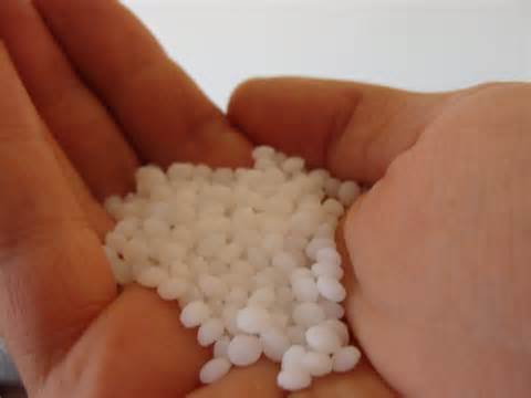 polymorph 定義
