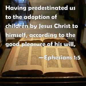 Definition von predestinated