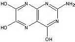 definisyon nan pterins