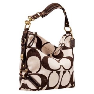 Definició de purses