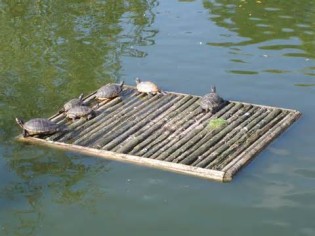 raft の定義