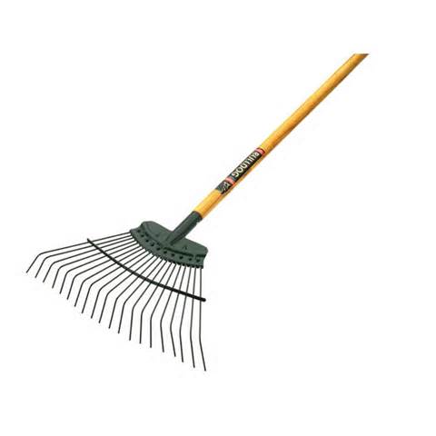 Definice rake