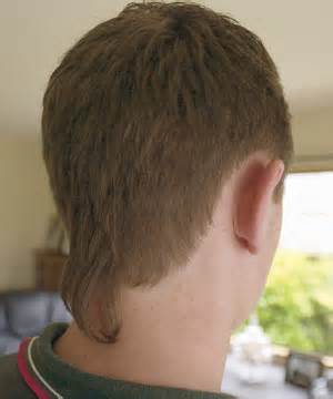 Meghatározása rattails