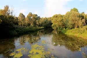 Meghatározása roeschwoog
