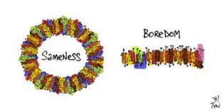 definición de sameness