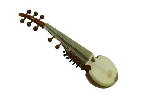 Meghatározása sarod