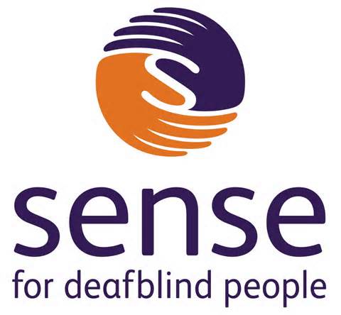 определение sense