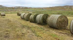 definizzjoni ta silage