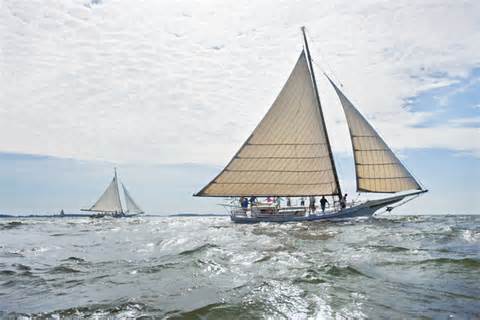 definizzjoni ta skipjacks
