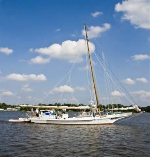 definizzjoni ta skipjacks