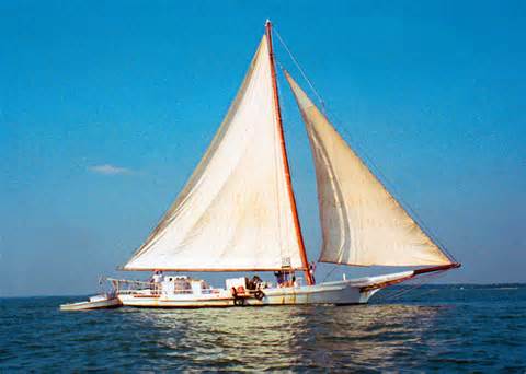 definizzjoni ta skipjacks