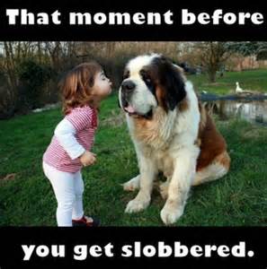 Definice slobbered