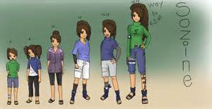 definisyon nan sozine