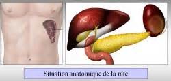 Definice splenectomies