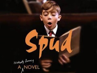Definició de spud