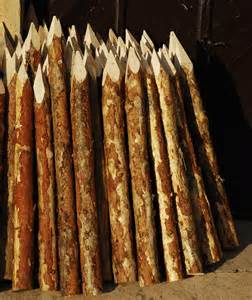 Definitions of stakes