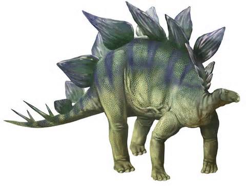 Definice stegosaurus