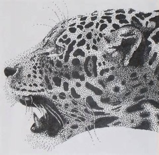 definizzjoni ta stippling