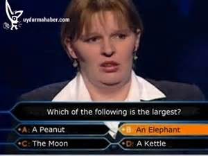 Definice stupid