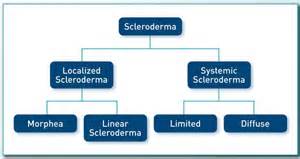 Definitions of subclassifications