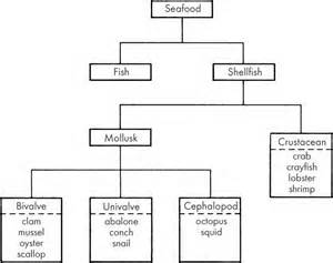 Definitions of subclassifications