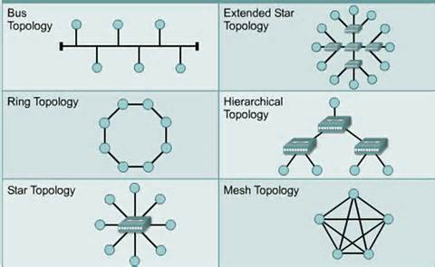 Definizione di topology
