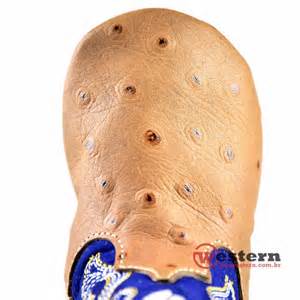 definisyon nan toughy