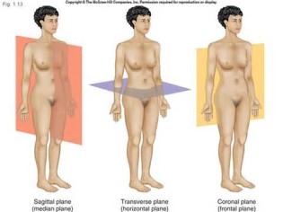 Definitions of transversely