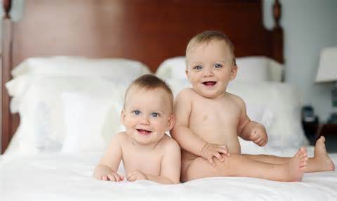 definizzjoni ta twins