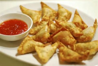 definizzjoni ta wonton