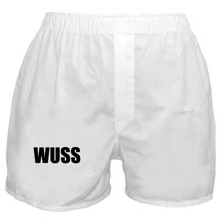 wuss是什么意思