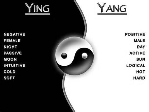 Definice yin