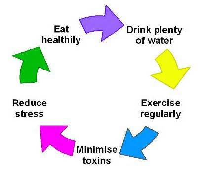 alkalizing の定義