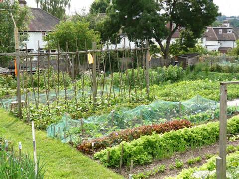 Definitions of allotment