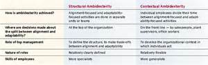 opredelitev ambidexterity