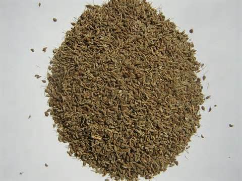 Definice aniseeds