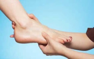 Definice ankles