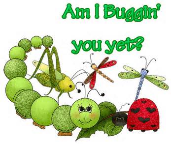 Mõiste bugging