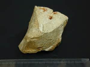 definisyon nan calcaria