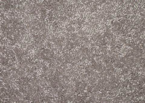 ความหมายของ carpet