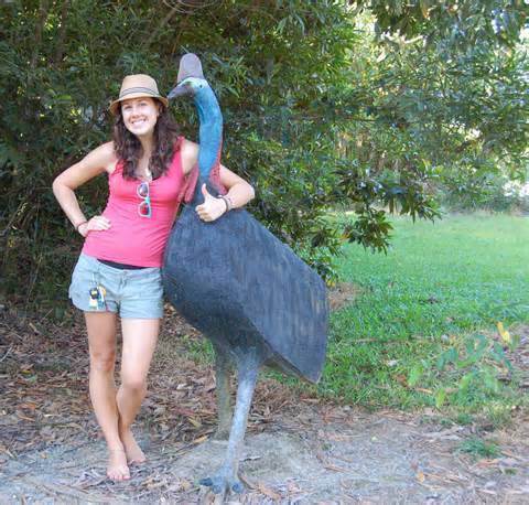 Definició de cassowaries