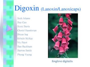 определение digoxin