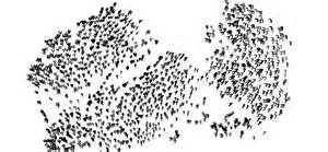 Definice dimensionality