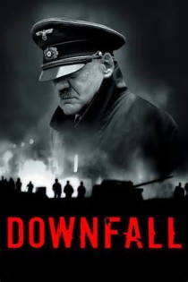 opredelitev downfall