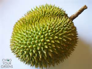 Definitions of durian