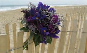 Definitions of embellishers