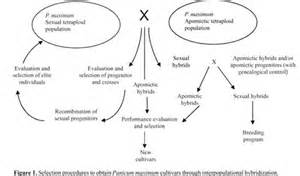 Definice epistasy