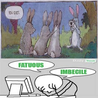 definisyon nan fatuous